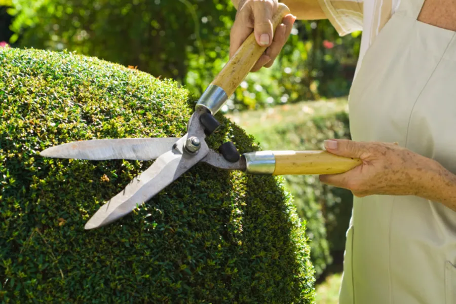 Nature's Landscaping's Other Services